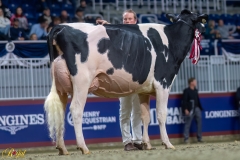 A109248-35592 A109248-35592