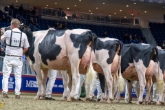 AR308159-35582 AR308159-35582