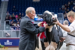 AR308181-35589 AR308181-35589