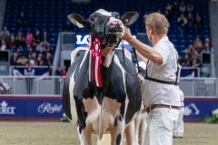 AR308191-35590 AR308191-35590