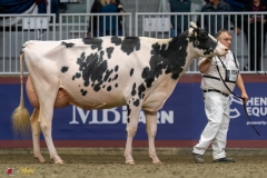 KVB07860-35539 KVB07860-35539