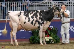 KVB07865-35540 KVB07865-35540