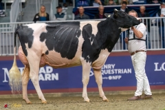 KVB07869-35541 KVB07869-35541