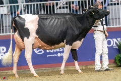 KVB07889-35554 KVB07889-35554