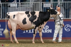 KVB07894-35556 KVB07894-35556