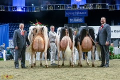 A101557-35985 A101557-35985