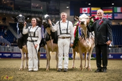 A101639-35993 A101639-35993