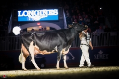 KVB08920-35940 KVB08920-35940