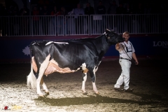 KVB08921-35941 KVB08921-35941