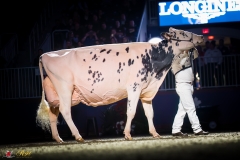 KVB08931-35947 KVB08931-35947