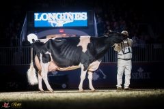 KVB08941-35950 KVB08941-35950