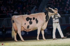 KVB08952-35955 KVB08952-35955