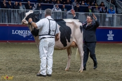 A109683-35689 A109683-35689