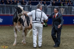 A109726-35691 A109726-35691