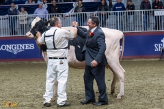 A109785-35693 A109785-35693