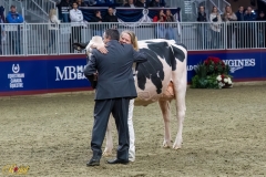 A109828-35694 A109828-35694