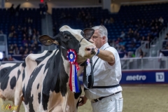 A109869-35695 A109869-35695