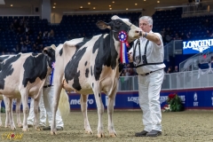 A109881-35696 A109881-35696