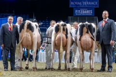 A109893-35697 A109893-35697