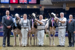 A109940-35698 A109940-35698