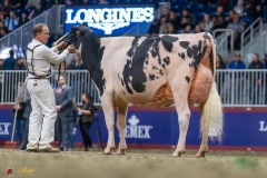 KVB08059-35681 KVB08059-35681