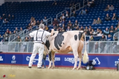 KVB08062-35682 KVB08062-35682