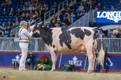 KVB08063-35683 KVB08063-35683