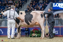 KVB08064-35685 KVB08064-35685