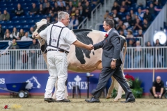 KVB08080-35686 KVB08080-35686