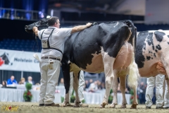 A109397-35658 A109397-35658