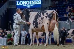 A109464-35670 A109464-35670