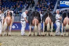 AR308418-35666 AR308418-35666