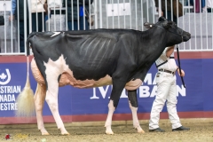 KVB07937-35600 KVB07937-35600