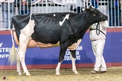 KVB07938-35601 KVB07938-35601