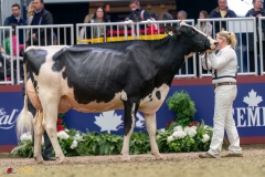 KVB07939-35603 KVB07939-35603