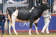 KVB07966-35616 KVB07966-35616