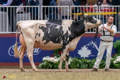 KVB07981-35624 KVB07981-35624