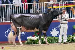 KVB07984-35627 KVB07984-35627