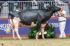 KVB07987-35628 KVB07987-35628