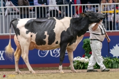 KVB08013-35637 KVB08013-35637