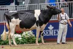 KVB08015-35638 KVB08015-35638