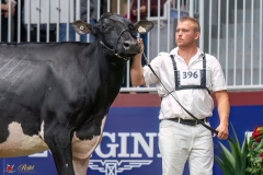 KVB08017-35639 KVB08017-35639