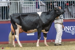 KVB08032-35645 KVB08032-35645