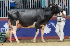 KVB08034-35646 KVB08034-35646