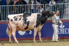 KVB08038-35651 KVB08038-35651