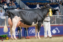 KVB08050-35672 KVB08050-35672