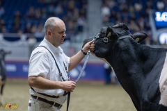 A100135-35822 A100135-35822