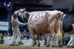 A100163-35831 A100163-35831