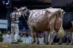 A100178-35833 A100178-35833