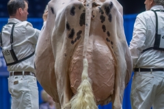 A100186-35834 A100186-35834